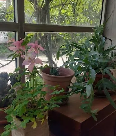 La Bravitu Appartement *