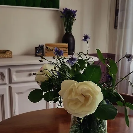Apartmán La Bravitu *